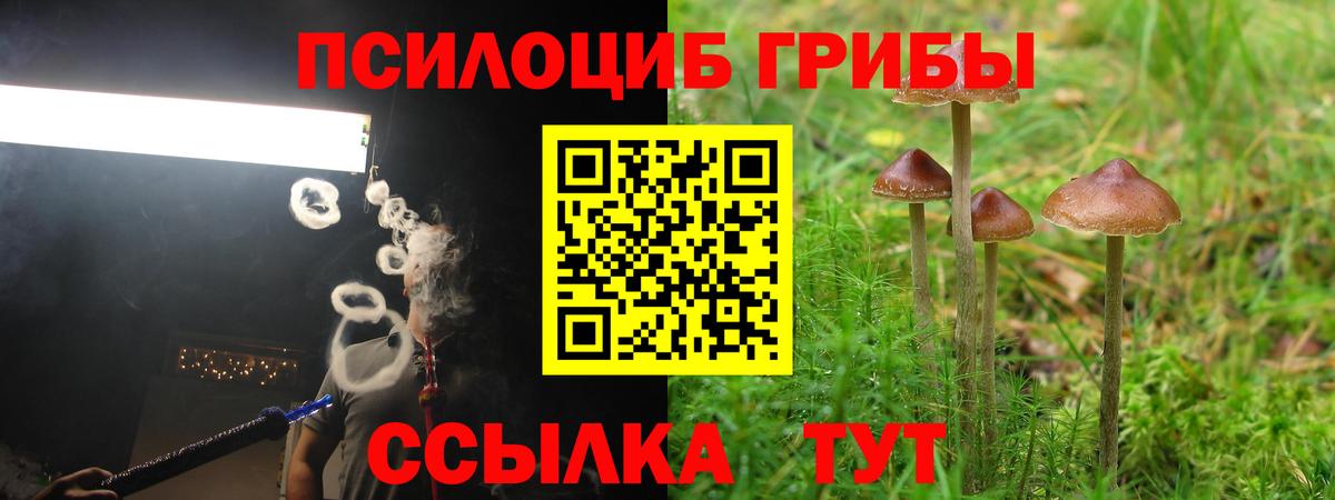 Санкт-Петербург  Галлюциногенные грибы ЛСД  Вход с VPN 